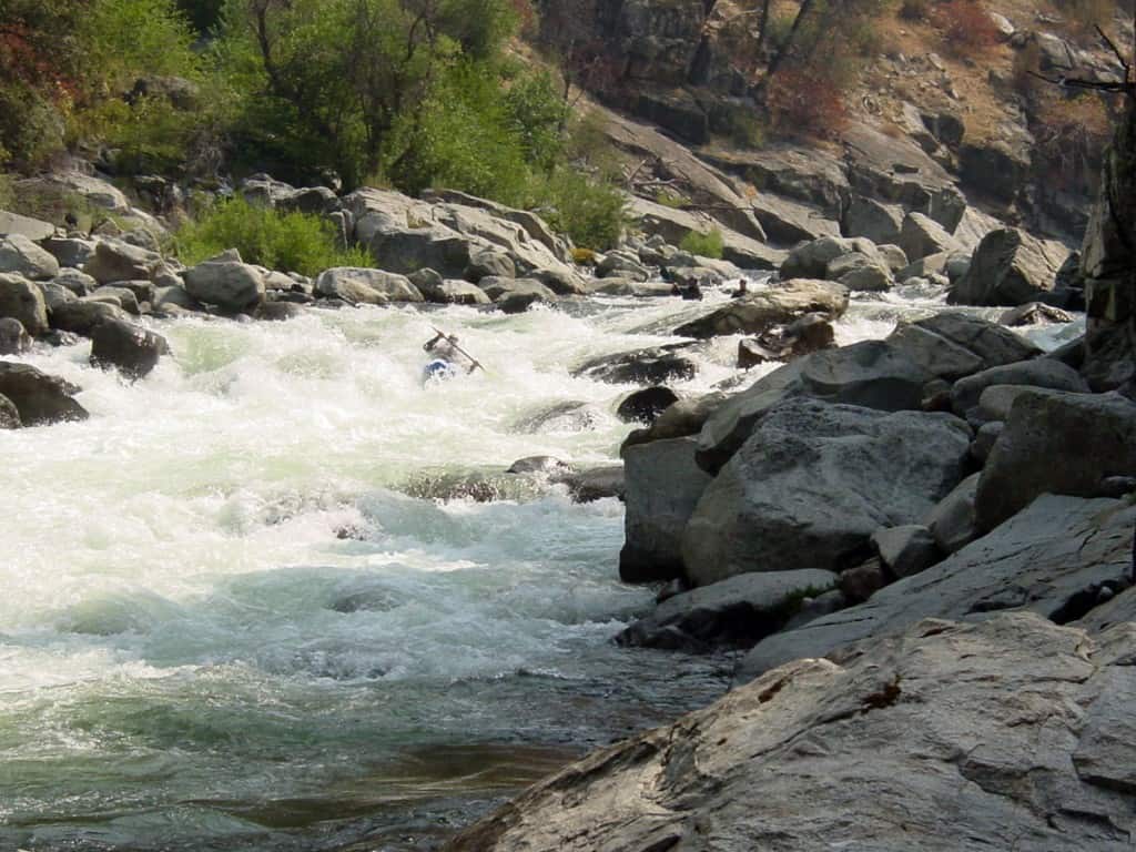 Kayaker in Jawbone Rapid in Cherry Creek