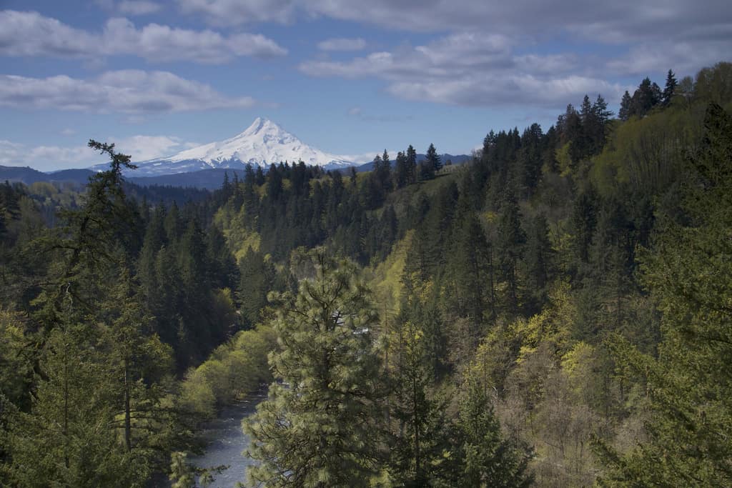 The Hood River and Mt. Hood