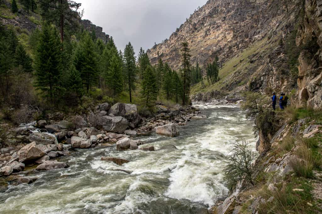 Scouting the entrance to Fall Creek on the South Fork of the Salmon River