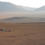 Steve and friends camping in the Atacama Desert