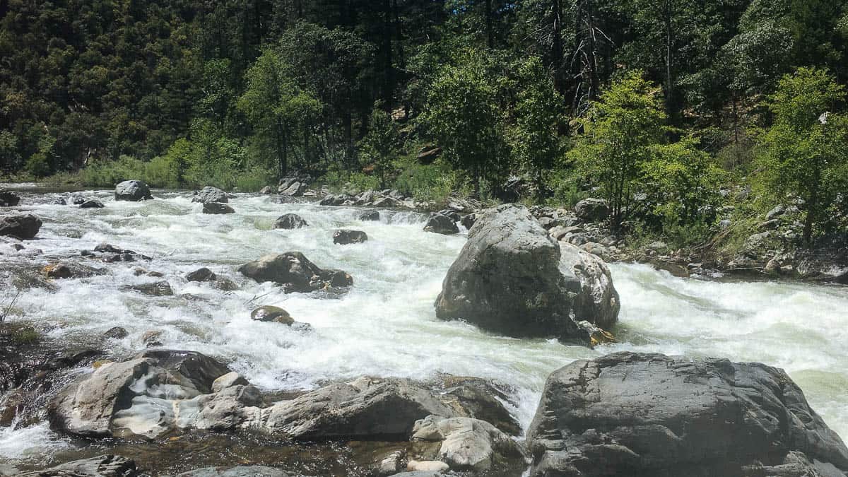 Schuler Gulch Rapid on the Scott River