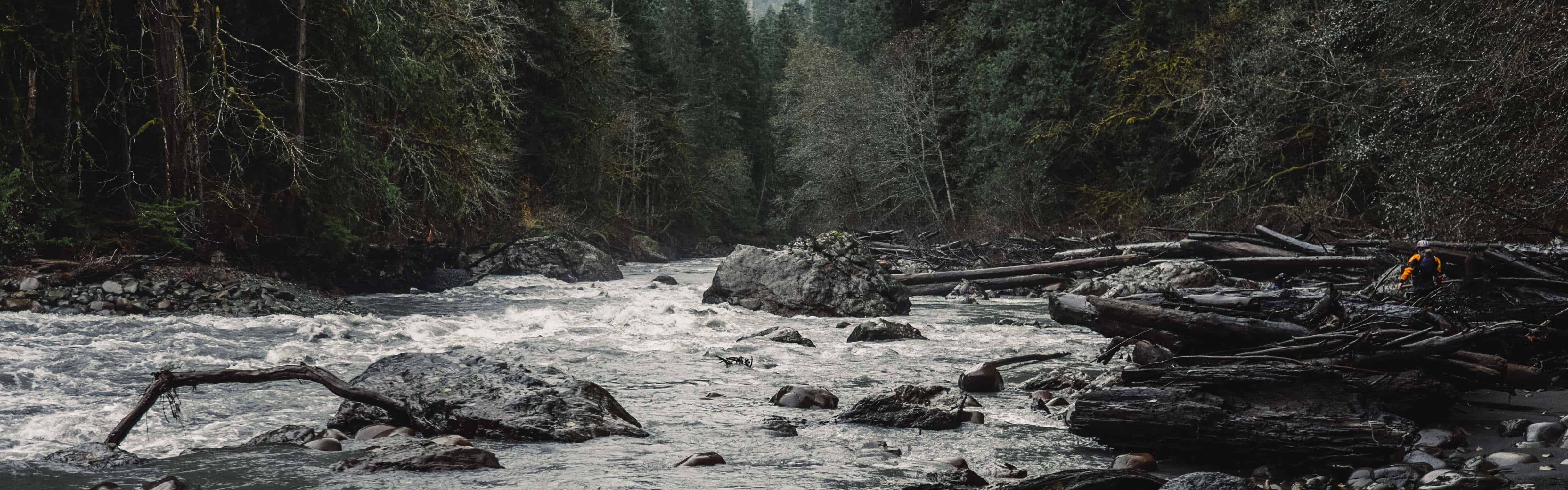 Elwha River above Olympic Hot Springs Road | Photo by Nate Wilson