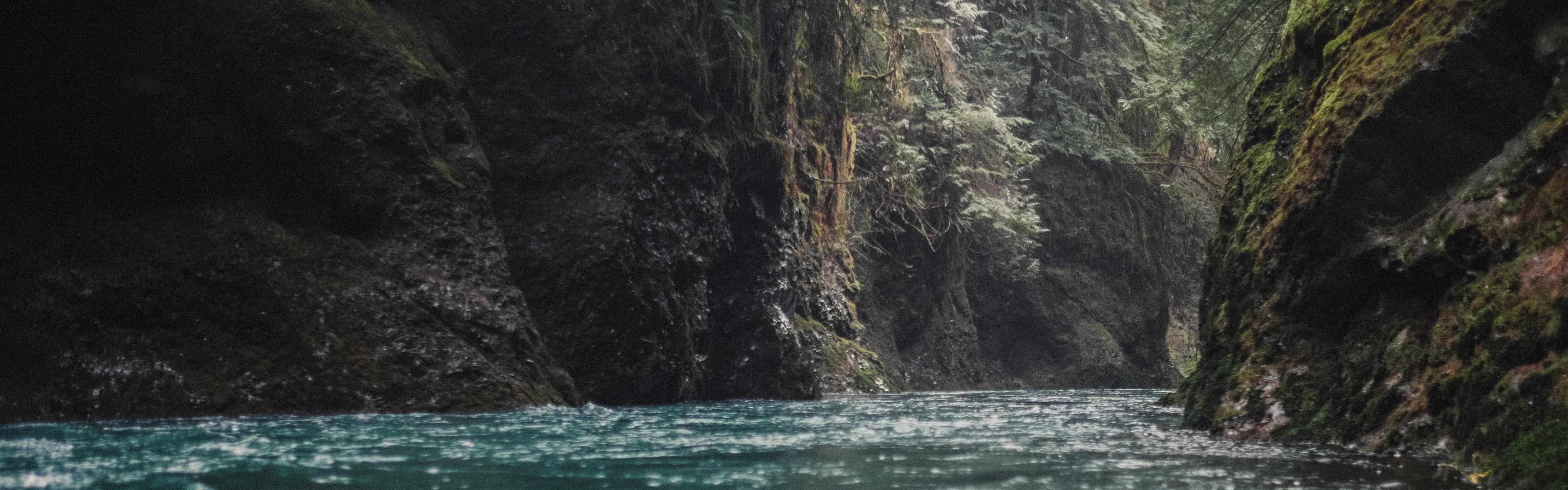 Looking into the East Fork of the Humptulips Narrows. Photo by Nate Wilson Photography