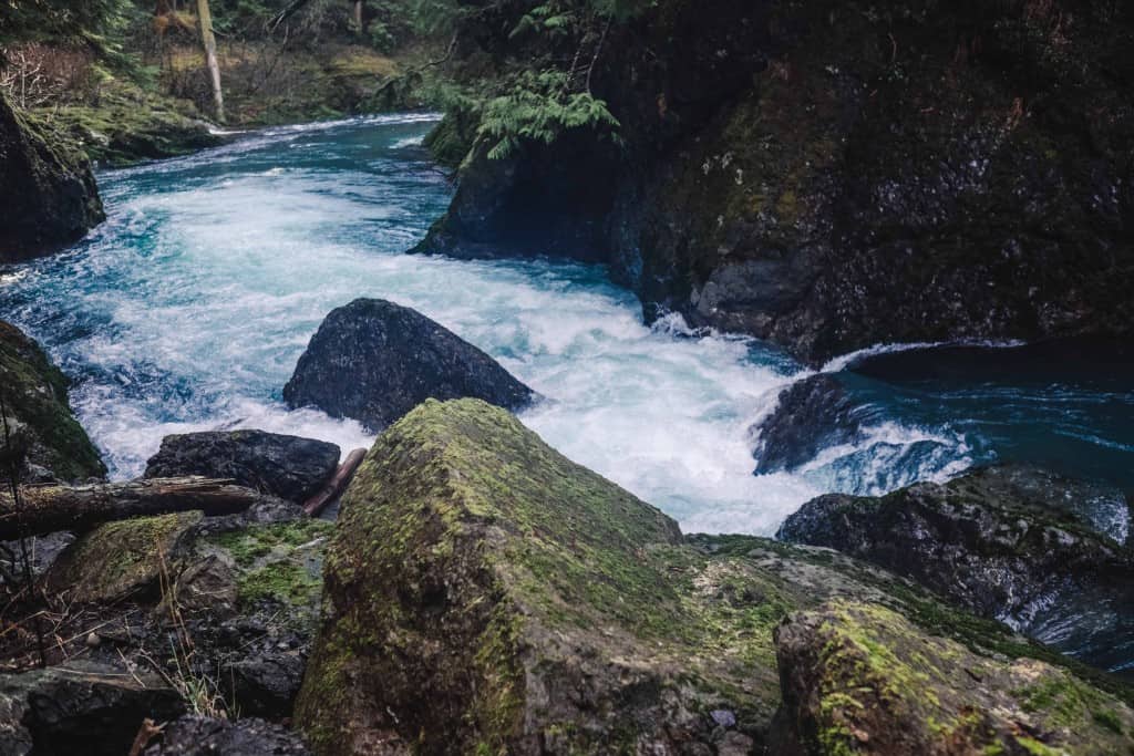 east fork humptulips narrows