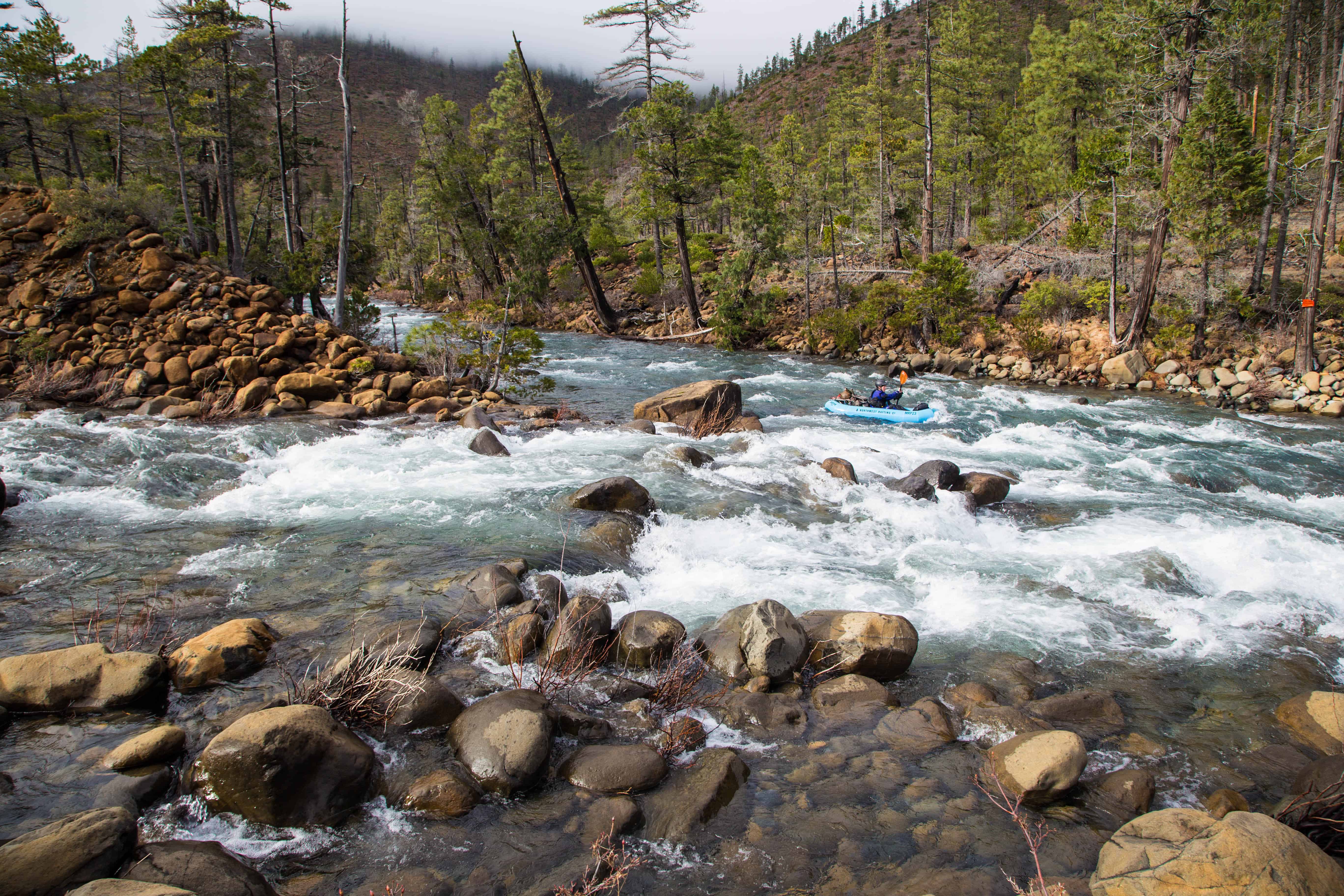 Confluence of the North and South Forks of Rough and Ready Creek