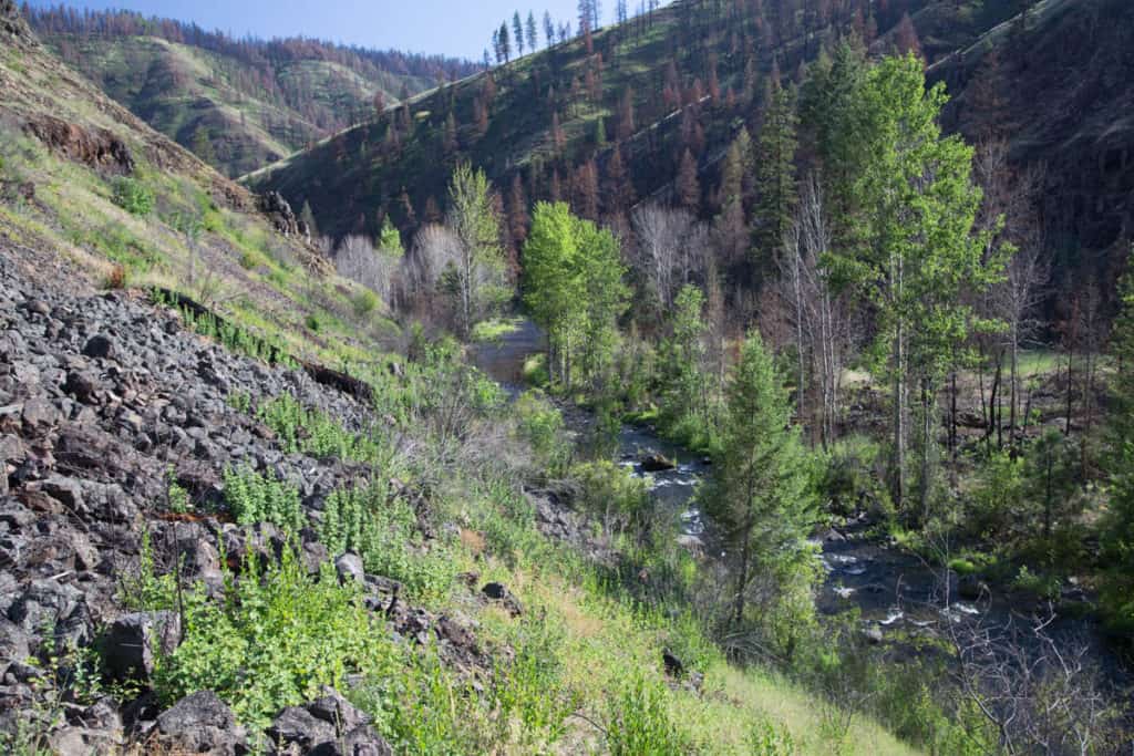 View of Crooked Creek from the Crooked Creek Trail