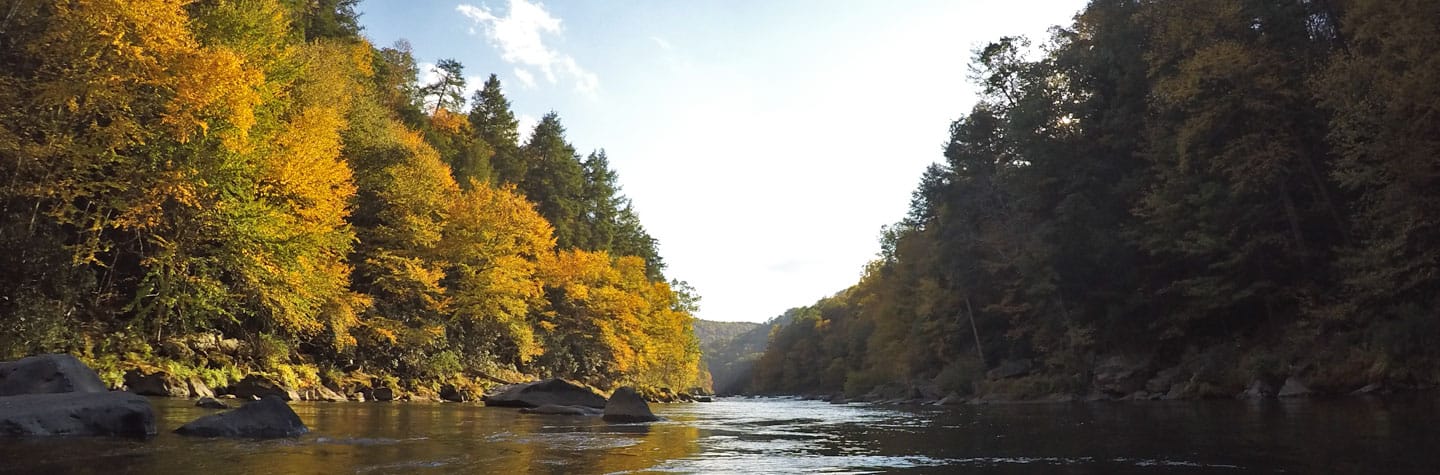 Fall Colors on the Youghiogheny River