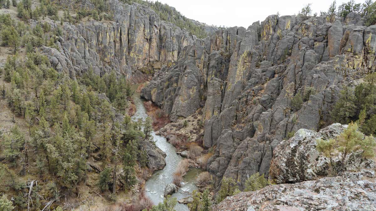 North Fork of the Owyhee River