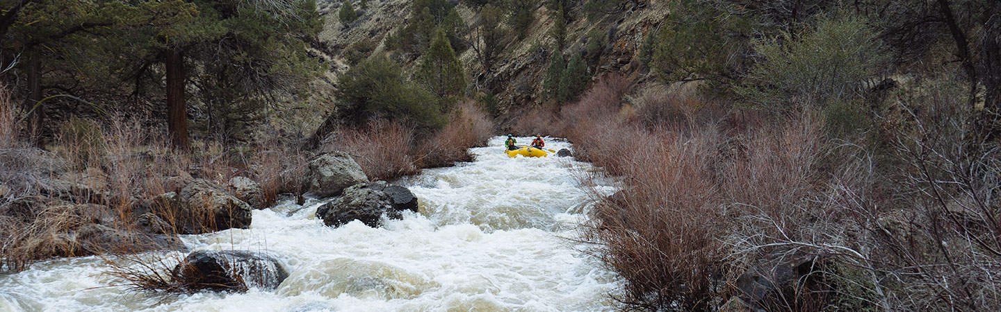 Continuous whitewater on the North Fork of the Owyhee River