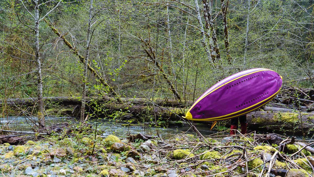 One of the many logjams you'll have the opportunity to portage