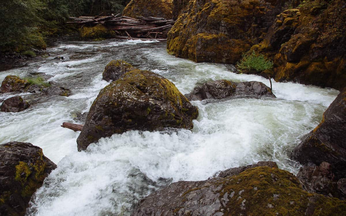 Boulderdash Rapid on the Collawash River