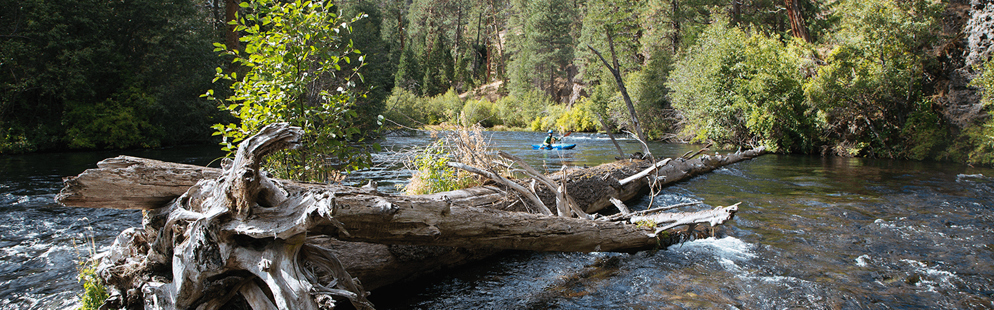 Kayaking on Oregon’s Wild and Scenic Metolius River