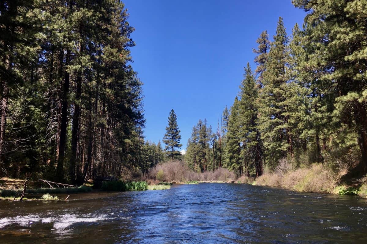 Metolius River