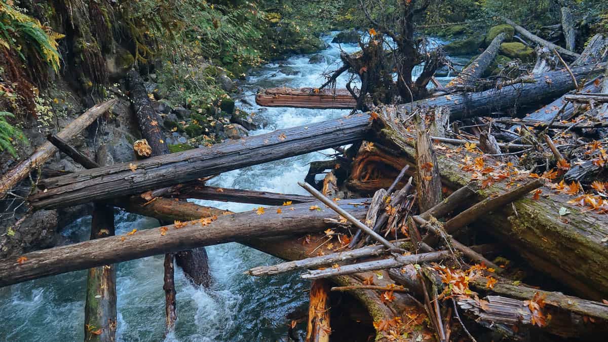 Log Jam in the middle of Head Knocker Rapid on Roaring River