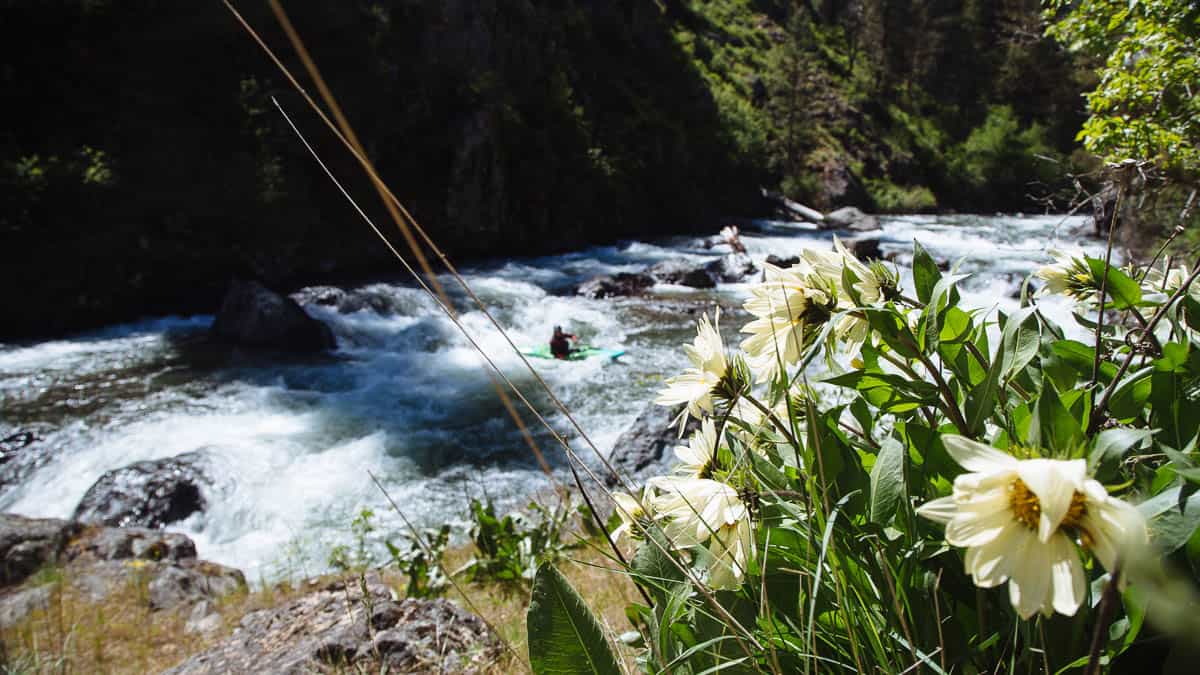 Eagle Creek is a National Wild and Scenic River in the Wallowa Mountains