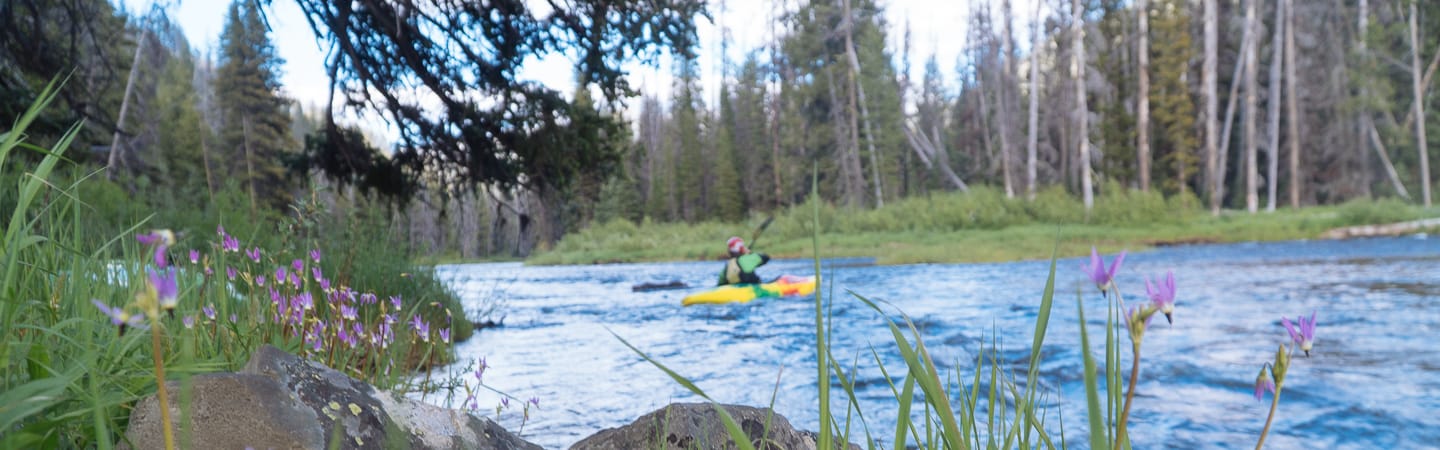 Kayaking on Bear Valley Creek in the Frank Church – River of No Return Wilderness