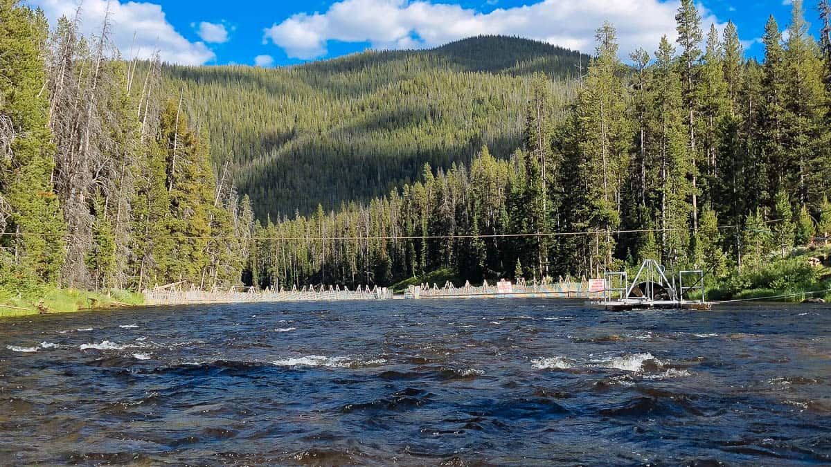 The Fish Trip at Fir Creek Campground