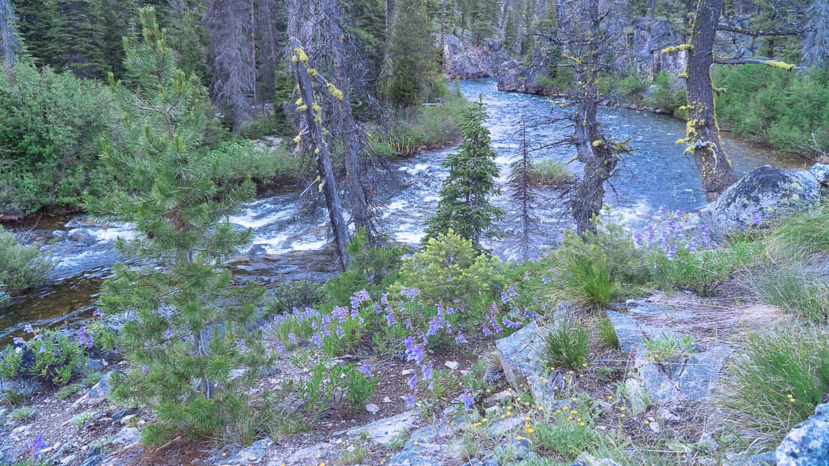 The Middle Fork of the Salmon River begins at the confluence of Bear Valley Creek and Marsh Creek