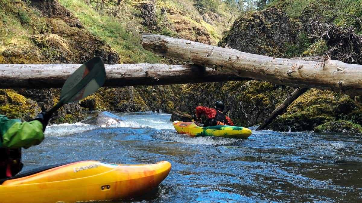 The Upper West Fork of the Hood River begins with a fun basalt gorge