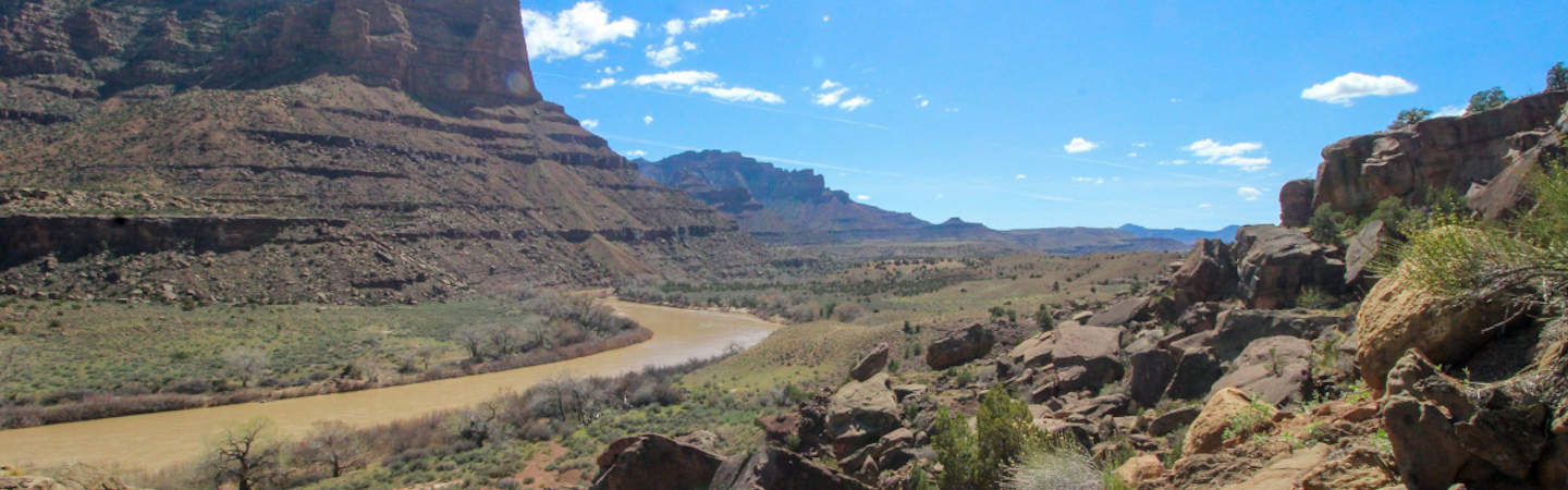 Desolation canyon from above Wire Fence Rapid.