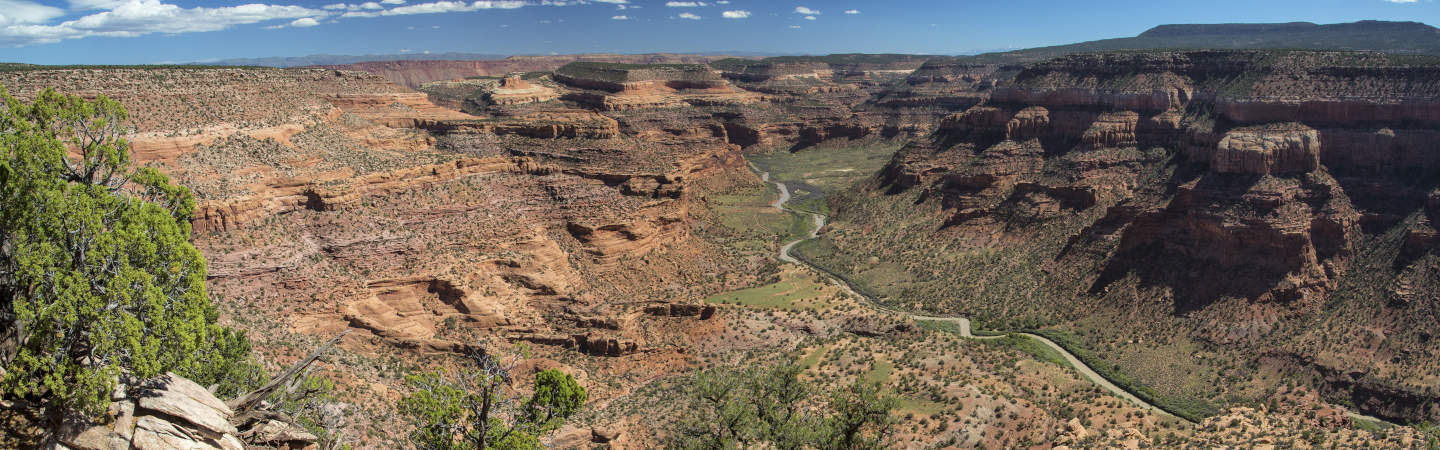 The Dolores flows through classic Utah red rock canyons. Photo courtesy of The BLM.