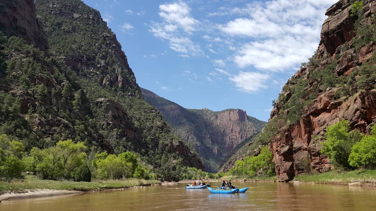 A trip floats through Lodore Canyon.