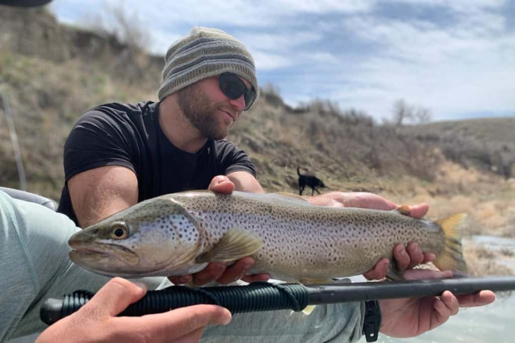 A huge brown trout pulled in on a multi-day rafting trip.