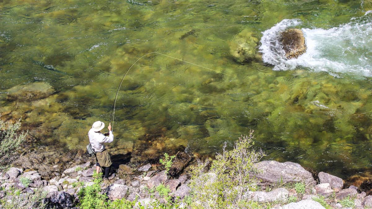 Fly fishing the clear waters of the Middle Fork of the Salmon.