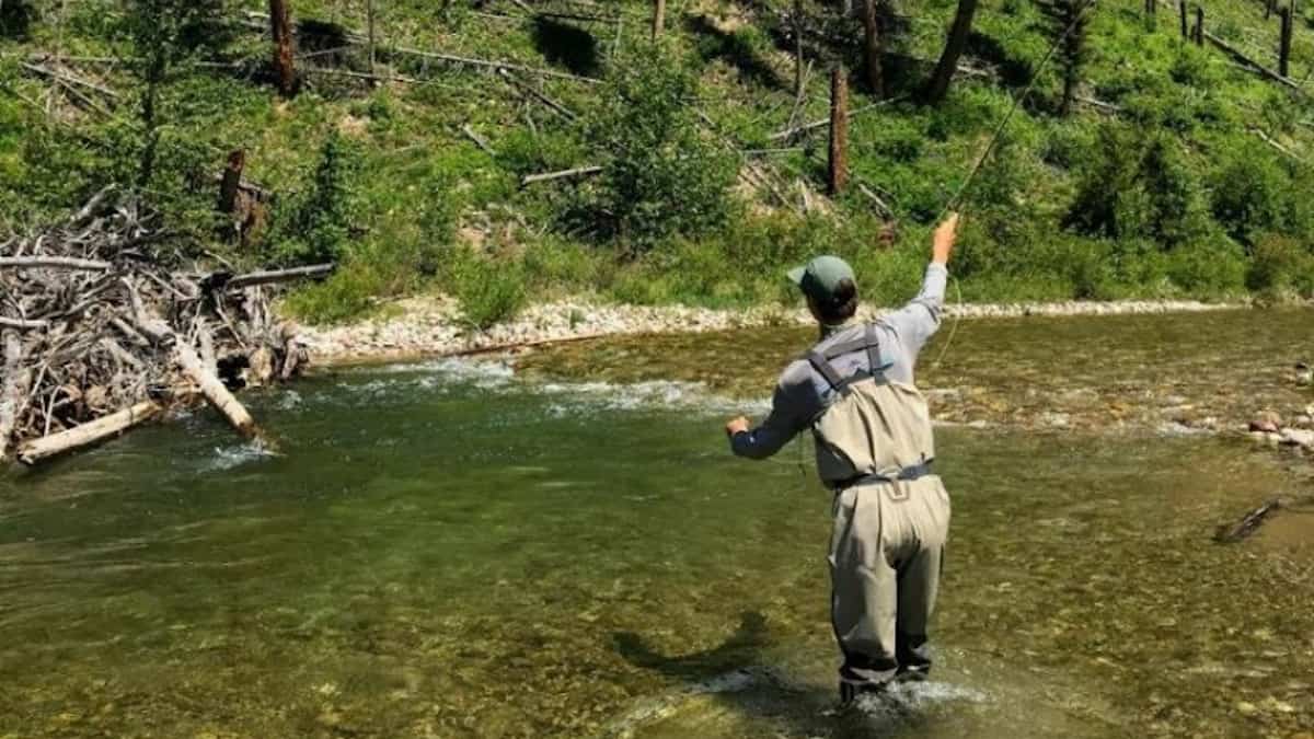 Fly fishing deep in the Bob Marshall Wilderness on the South Fork of the Flathead.