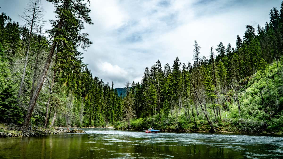 Floating through the heart of the Selway-Bitterroot Wilderness makes for spectacular scenery.