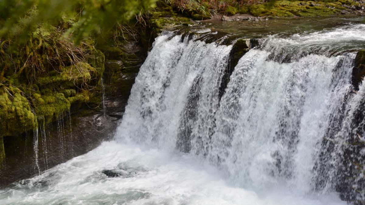 If a kayaker could design a waterfall, it would look like Upper Siouxon Falls.