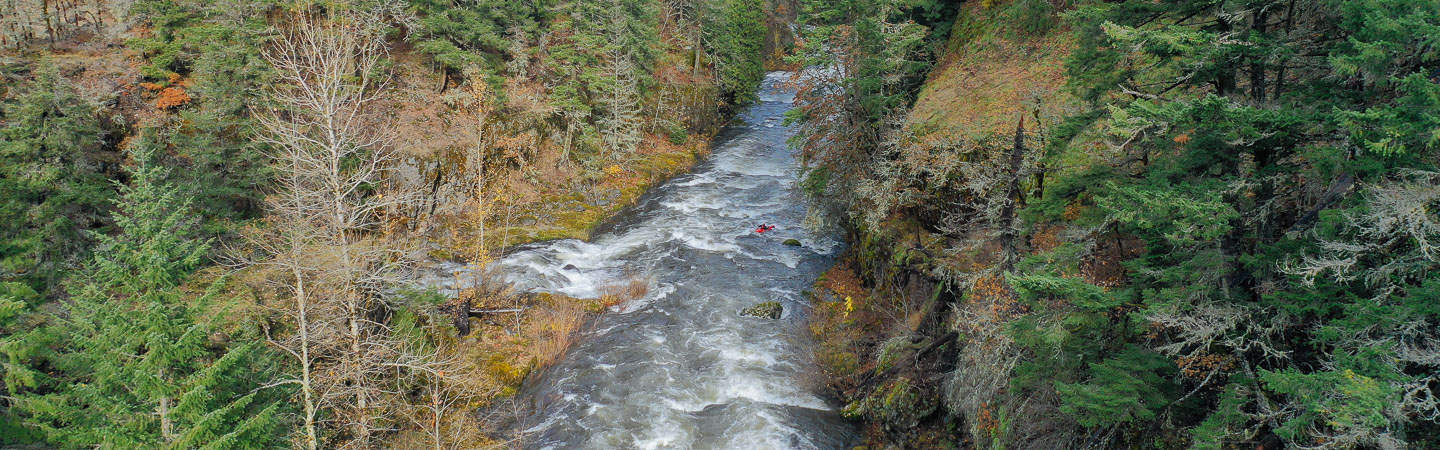 The West Fork of the Hood River near Green Point Creek