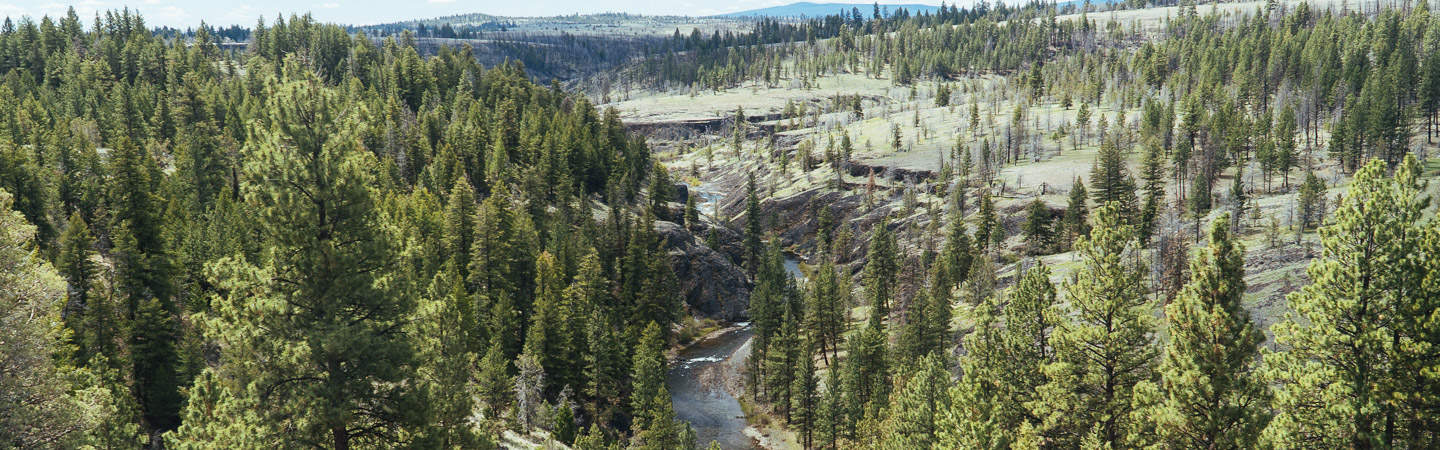 North Fork of the Crooked River