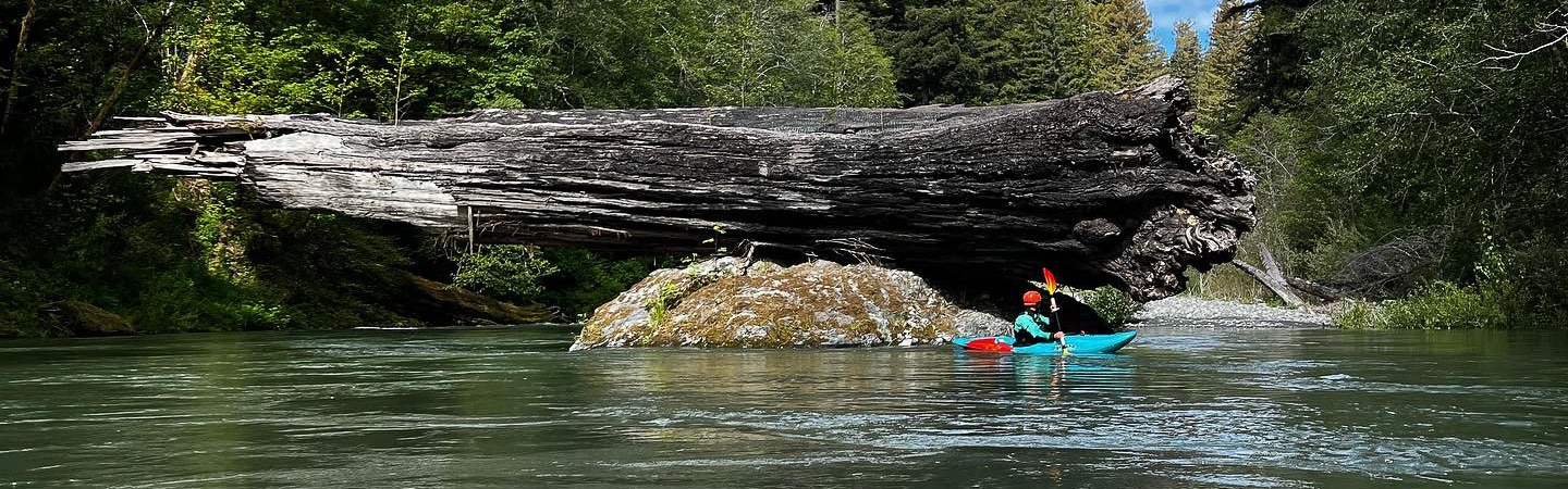 Kayaking Redwood Creek in Northern California